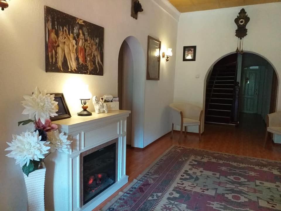 Vila Gabriel Σινάια Εξωτερικό φωτογραφία