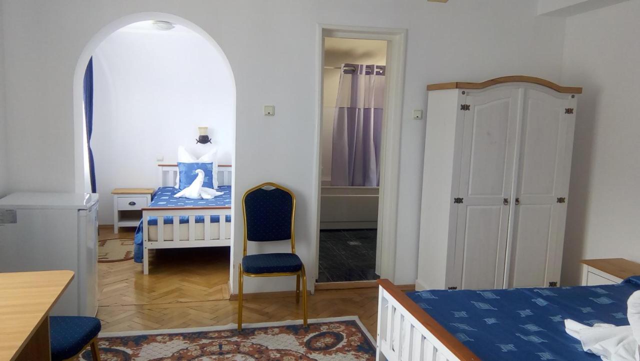 Vila Gabriel Σινάια Εξωτερικό φωτογραφία