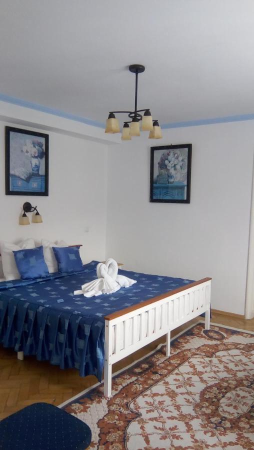 Vila Gabriel Σινάια Εξωτερικό φωτογραφία