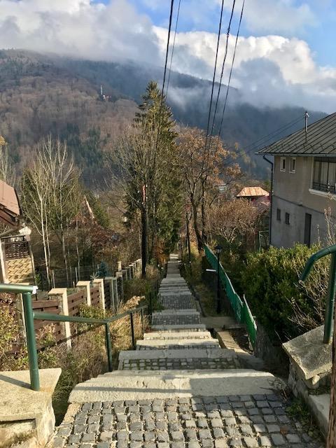 Vila Gabriel Σινάια Εξωτερικό φωτογραφία